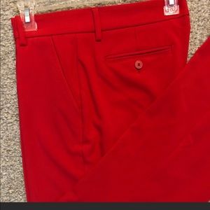 New York & Company dress pants